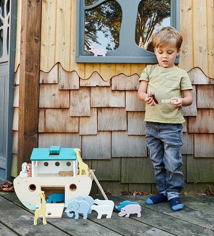 Noah's Wooden Ark