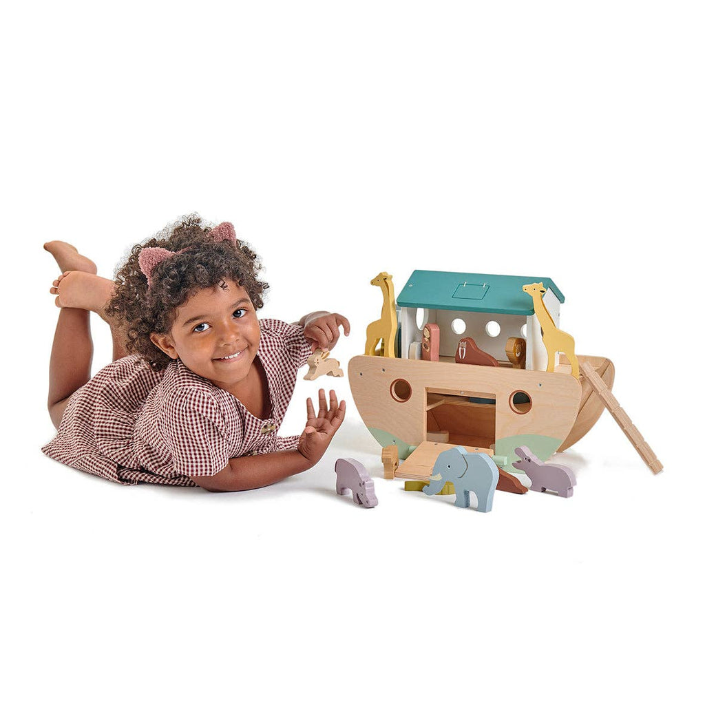 Noah's Wooden Ark