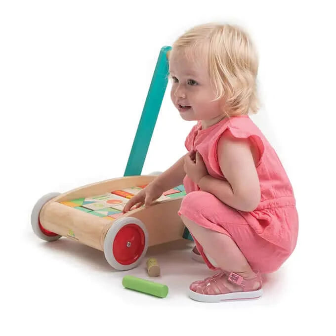 Baby Block Walker by Tender Leaf