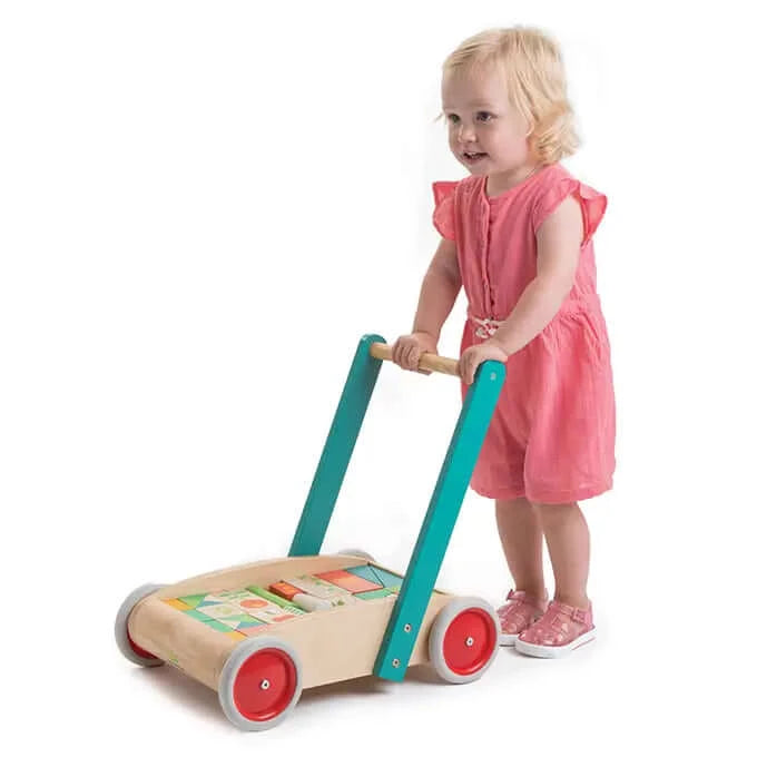 Baby Block Walker by Tender Leaf